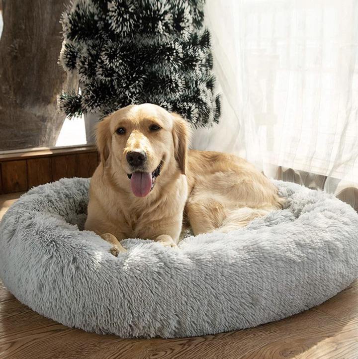 Cosy Calming Dog Bed